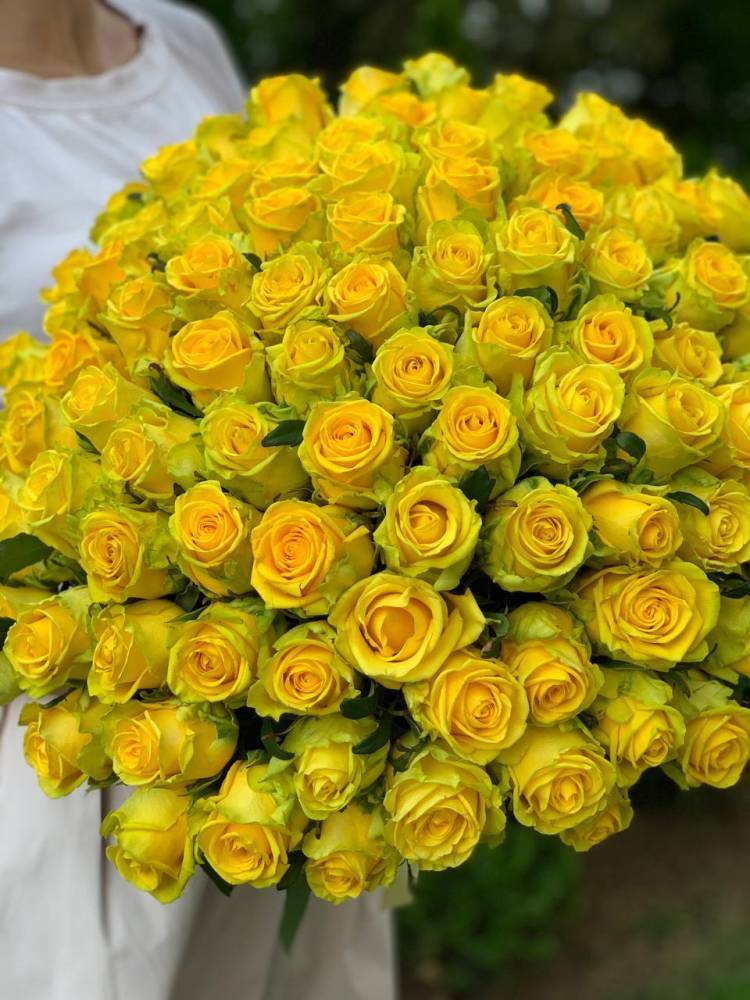 bouquet of 101 yellow roses