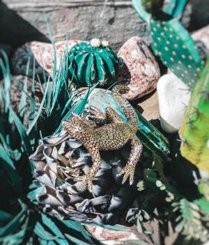 Statuette Gecko Billy silver, 16 cm - flowers delivery Dubai