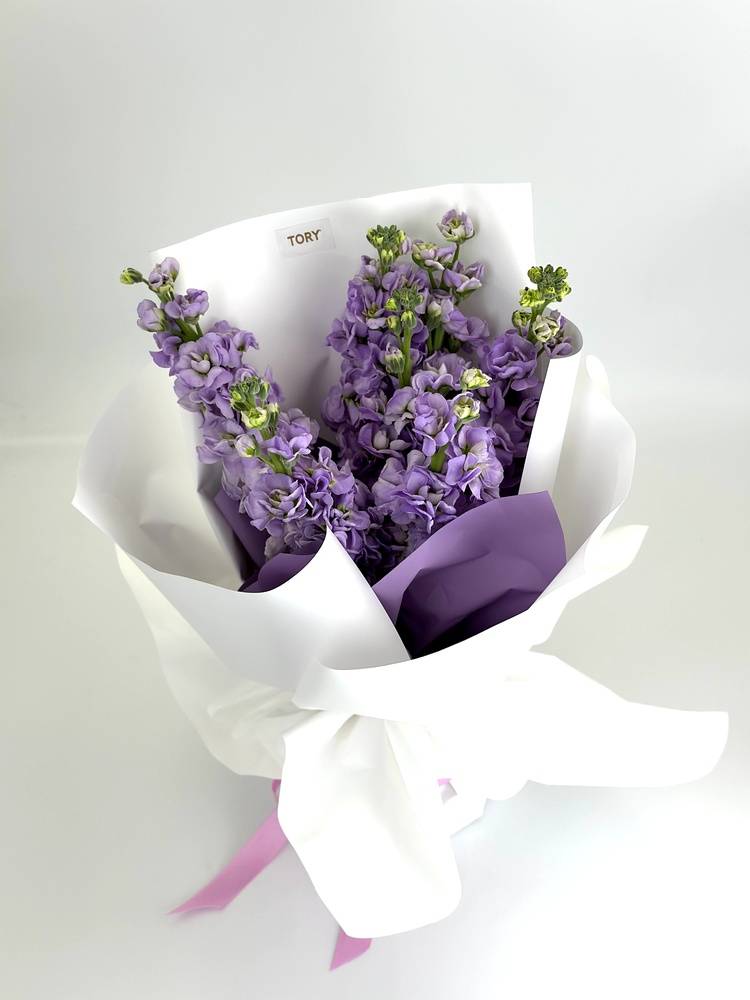 Bouquet of 7 lilac matiols