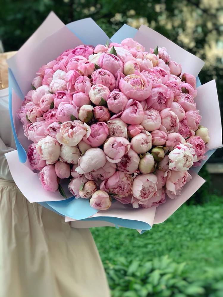 Bouquet of 101 pink peonies