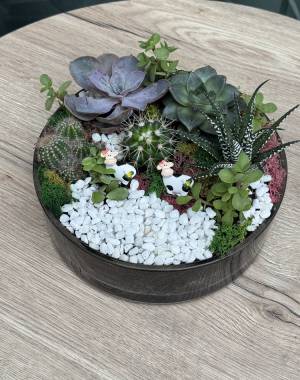 Composition of succulents №12 - flowers delivery Dubai