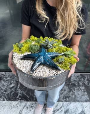 Composition of succulents №23 - flowers delivery Dubai