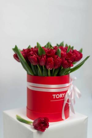 51 Red Peony Tulips in a Hat Box - flowers delivery Dubai