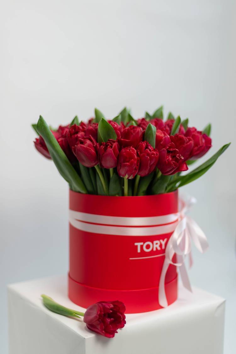51 Red Peony Tulips in a Hat Box