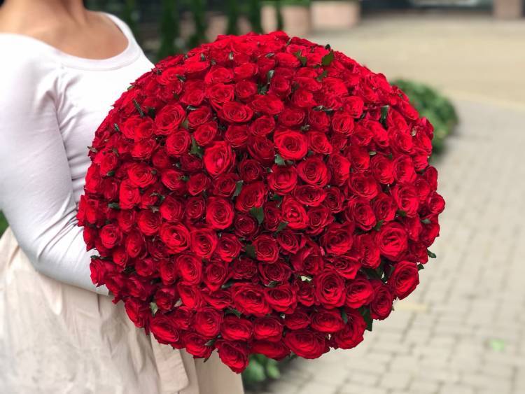 Bouquet of 201 red roses