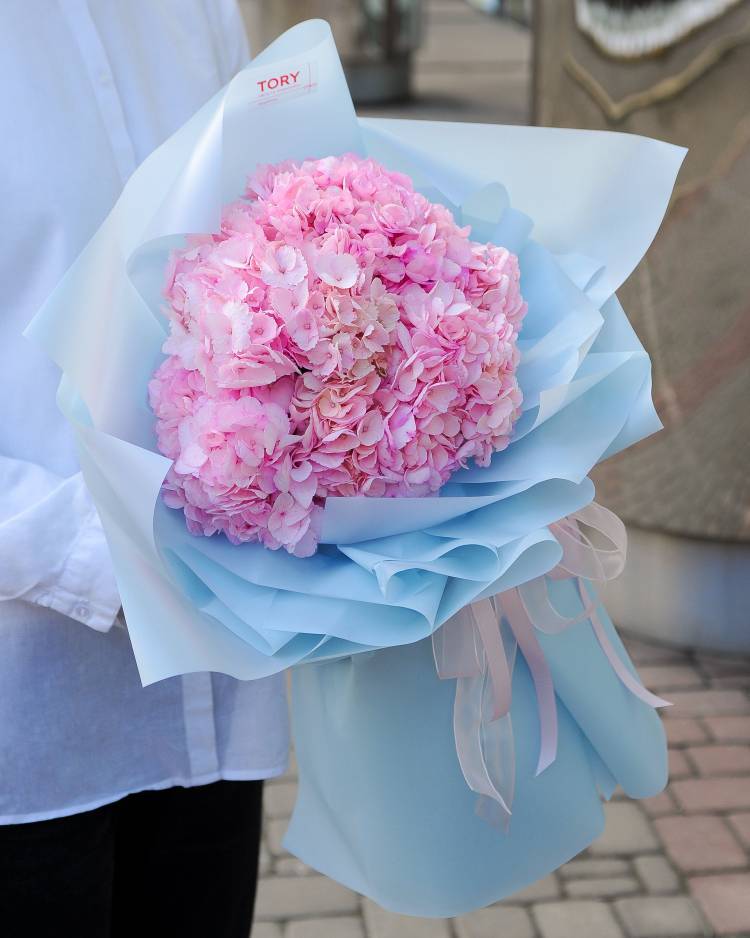 Bouquet of 5 pink hydrangeas