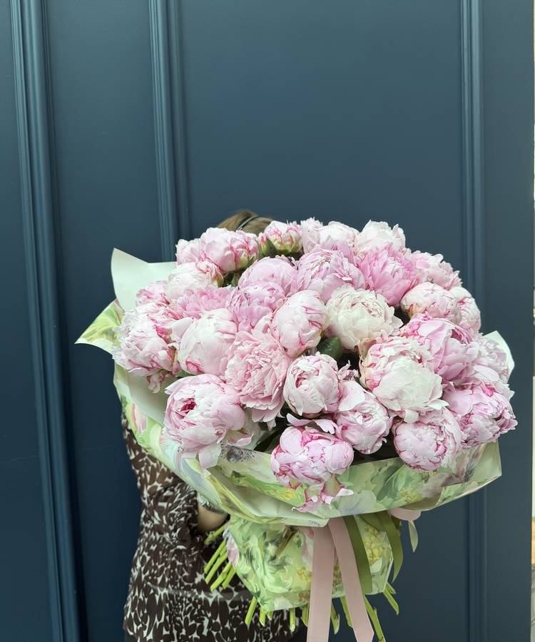 51 pink peonies Sarah Bernhardt