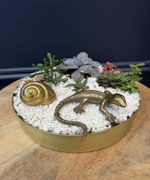 Composition of succulents No. 40 - flowers delivery Dubai