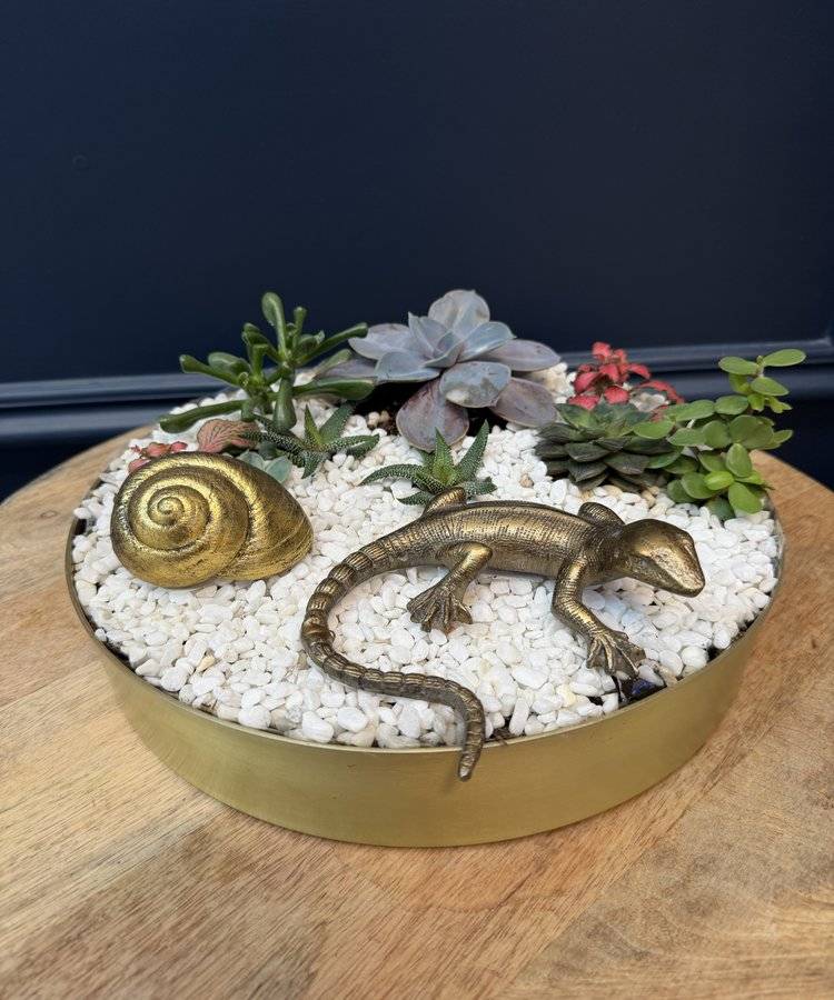 Composition of succulents No. 40
