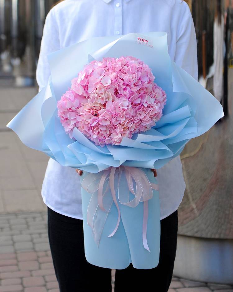 Bouquet of 5 pink hydrangeas