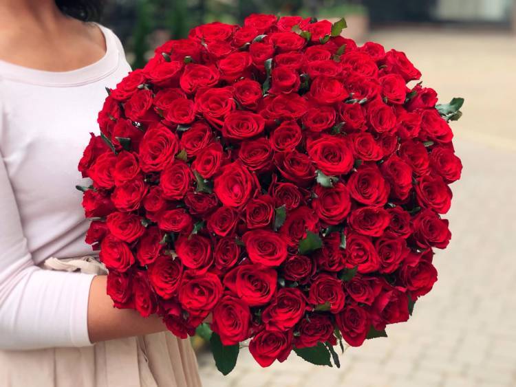 Bouquet of 100 red roses 