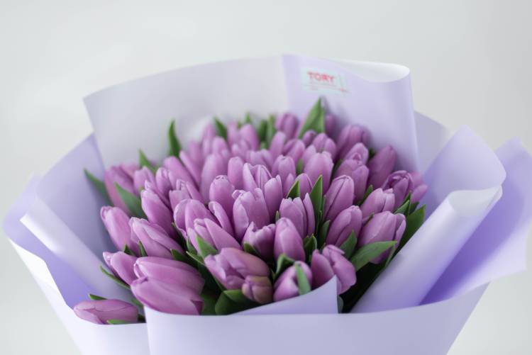 Bouquet of 51 Purple Tulips