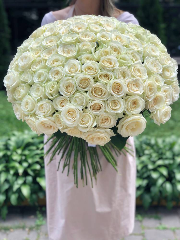 Bouquet of 201 White Roses