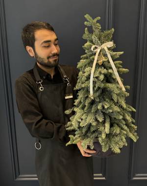 Living Christmas tree 80 cm - flowers delivery Dubai