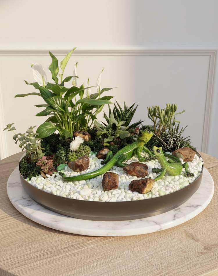 Composition of succulents №16