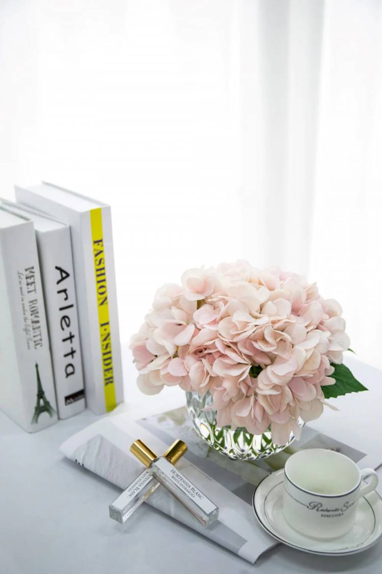 Flowers in a vase Hydrangeas Blush in Clear glass