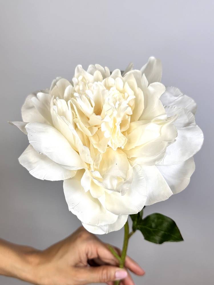 Artificial Peony cream, 52 cm