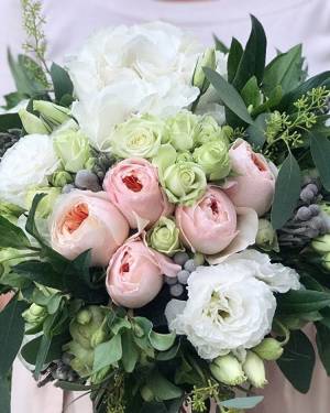Tenderness of Hydrangea - flowers delivery Dubai
