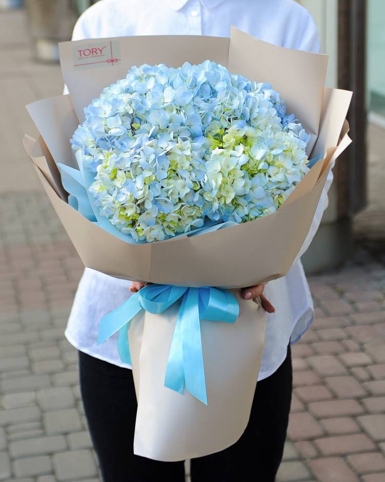 Bouquet of 7 blue hydrangeas