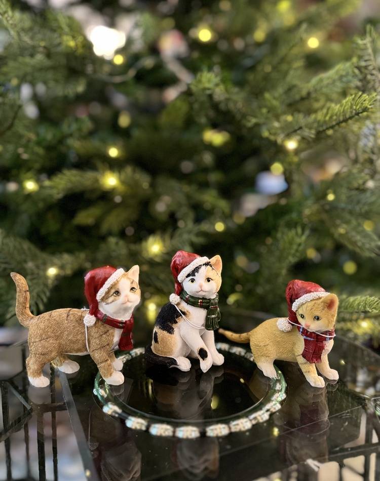 Cats w.x-mas hat poly in assortment