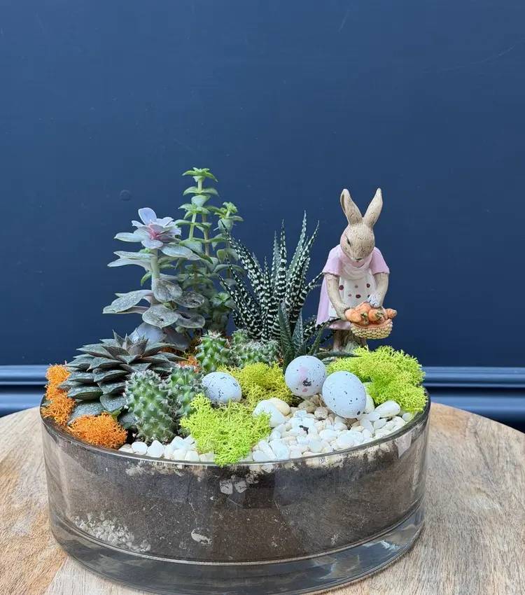 Easter composition succulents " "Living warmth"