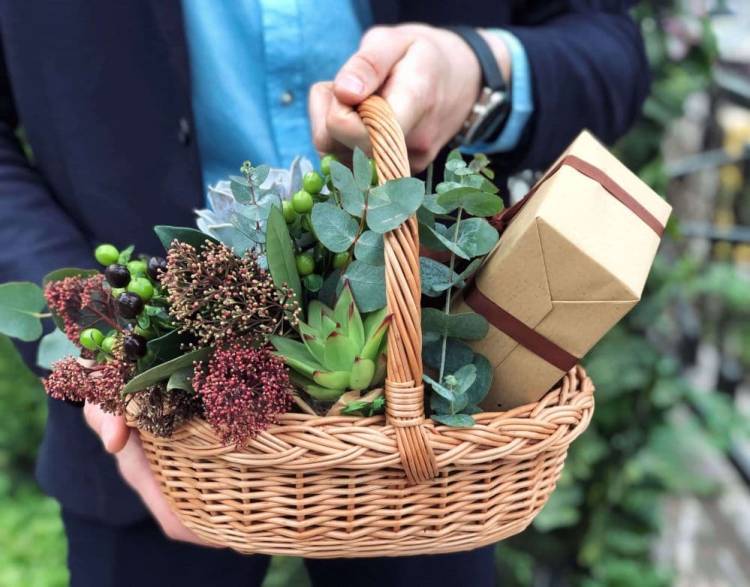 Succulents in a Basket