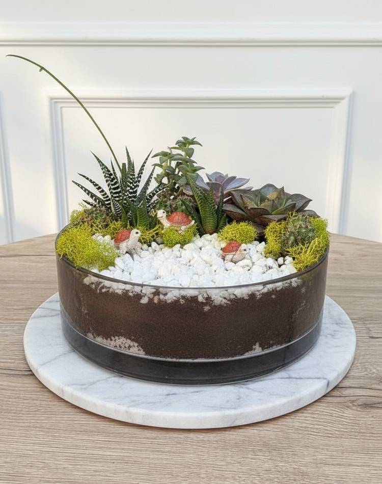 Composition of succulents №1