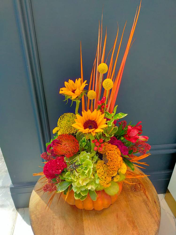 Halloween composition 