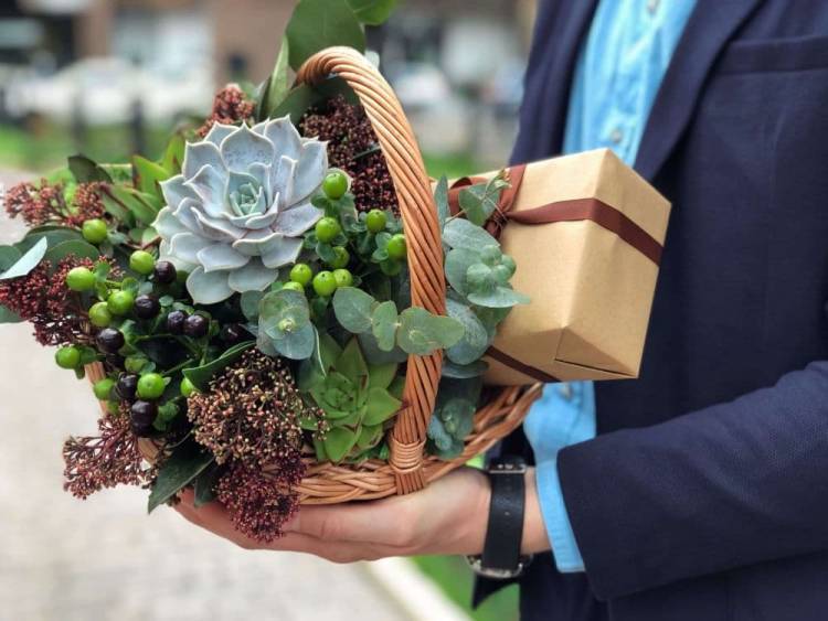 Succulents in a Basket