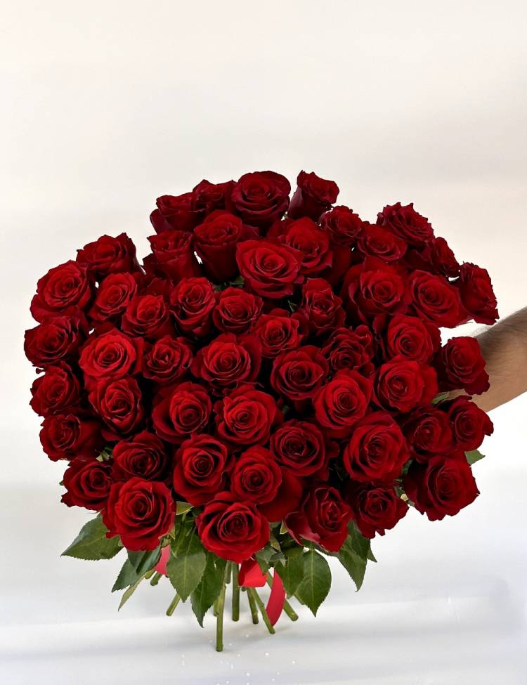 Bouquet of 50 red roses 