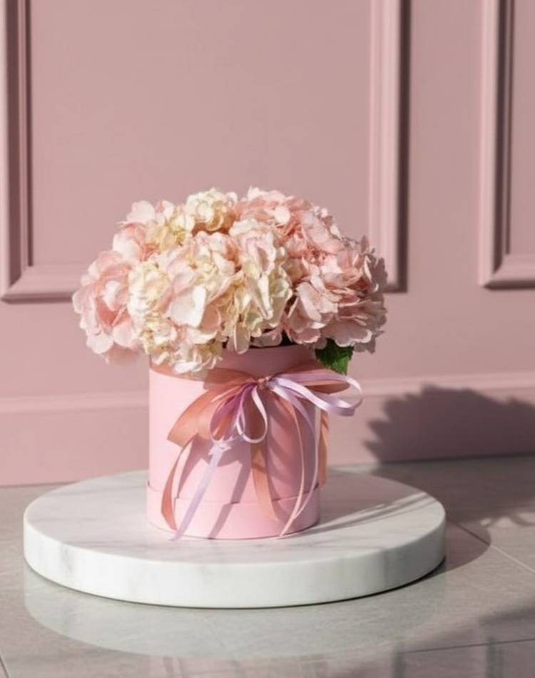 Breath of Tenderness