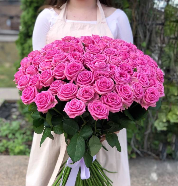 bouquet of 101 pink roses