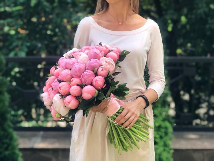 Bouquet of pink peonies 