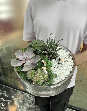 Composition of succulents №9 - flowers delivery Dubai