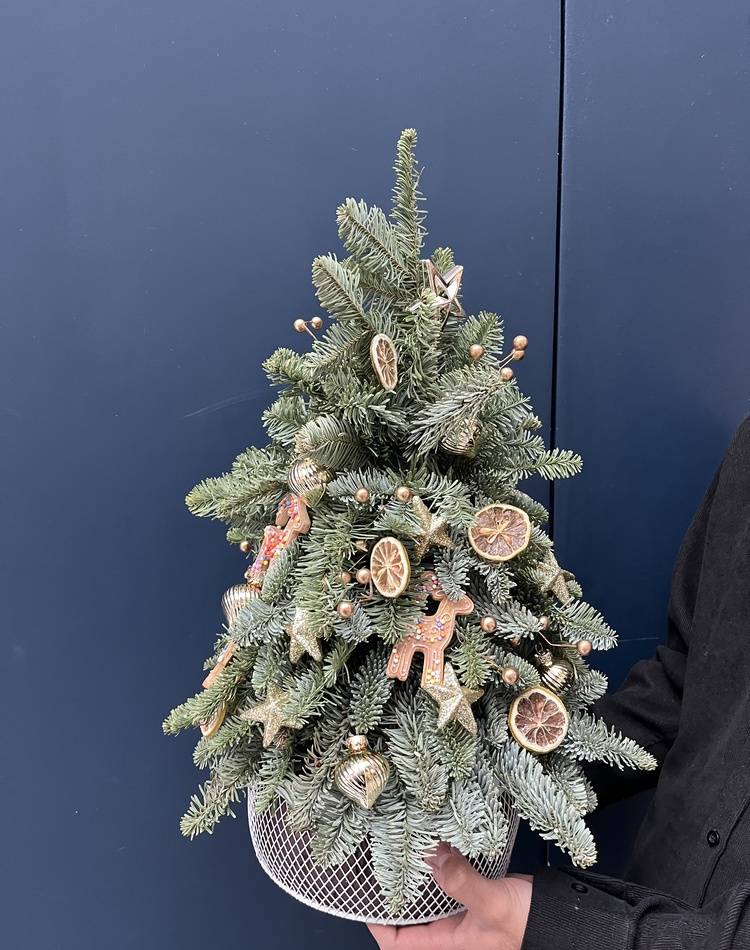 FRESH Christmas tree "Gingerbread Tale"