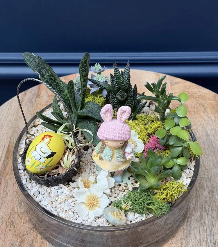 Easter composition succulents 