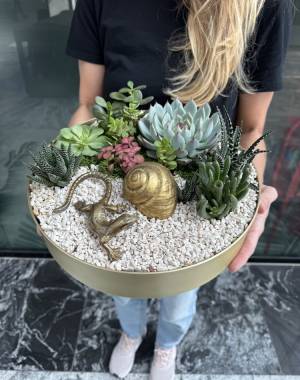 Composition of succulents №21 - flowers delivery Dubai