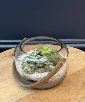 Composition of succulents No. 34 - flowers delivery Dubai