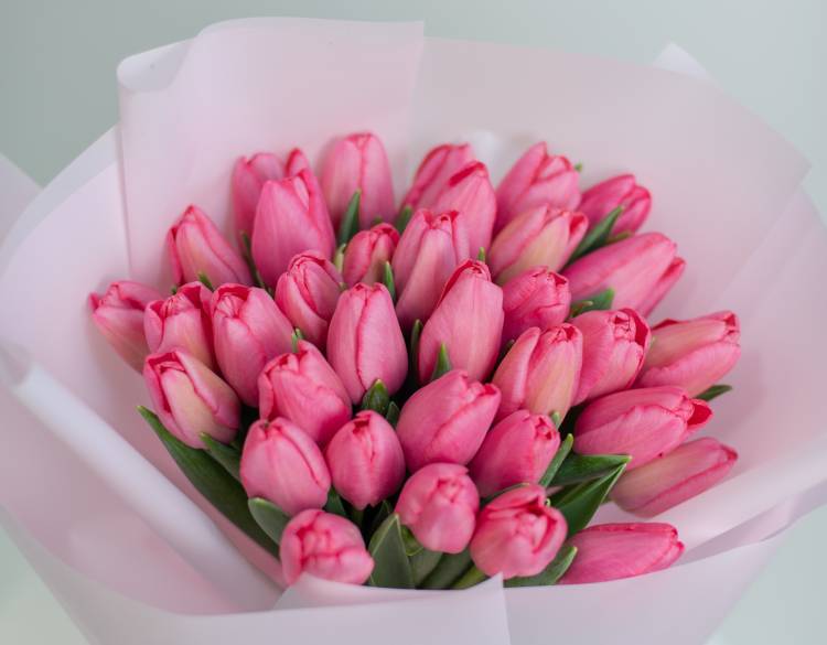 Bouquet of 35 pink tulips