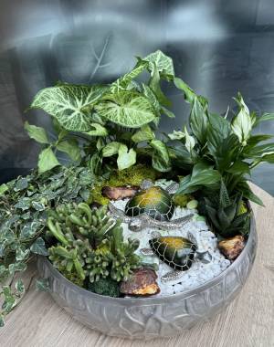 Composition of succulents №11 - flowers delivery Dubai