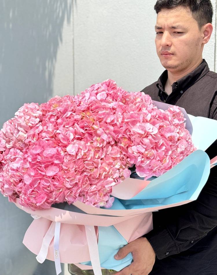 Bouquet of 15 pink hydrangeas