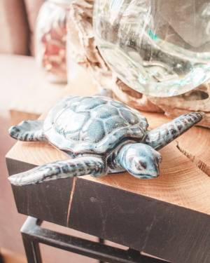 Statuette Turtle Sheldon ceramic, 17 cm - flowers delivery Dubai