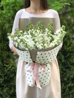 Bouquet of 35 white matthiola - flowers delivery Dubai