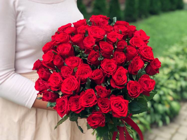 Bouquet of 51 red roses 