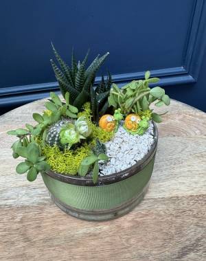 Composition of succulents №26 - flowers delivery Dubai