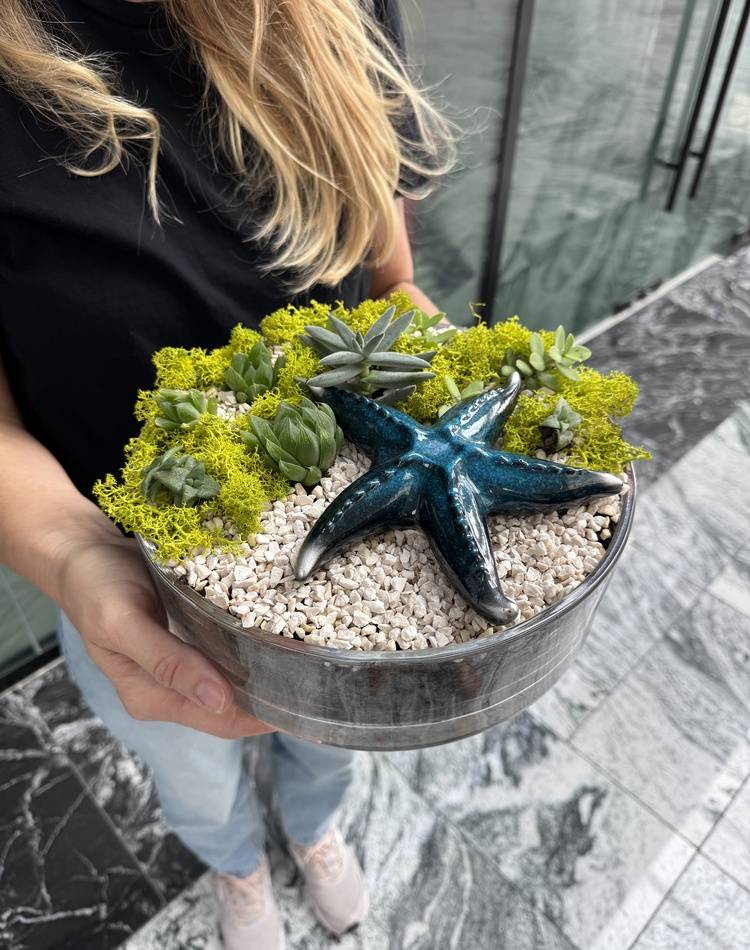 Composition of succulents №23