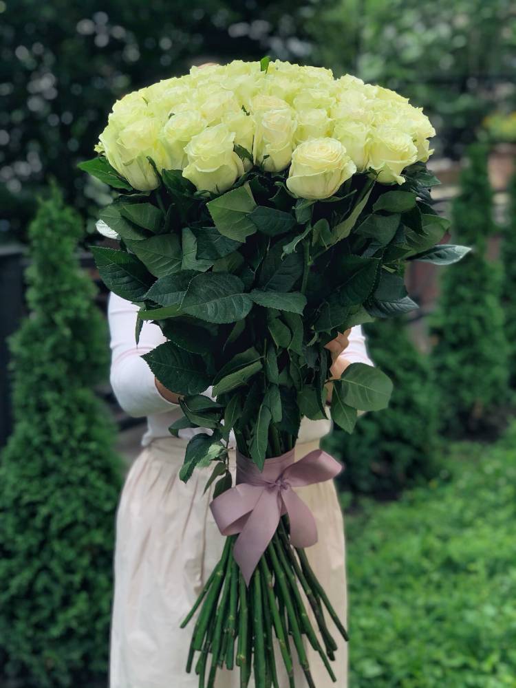 Bouquet of 51 imported white roses (80 cm)