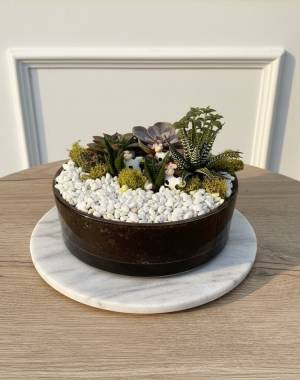 Composition of succulents №15 - flowers delivery Dubai