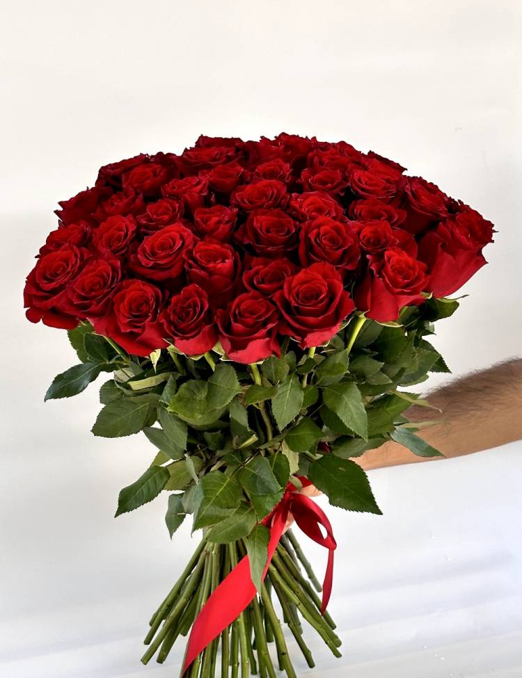 Bouquet of 50 red roses 