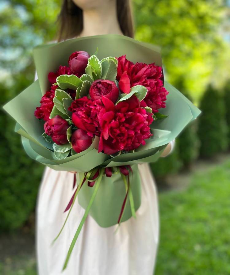 Bouquet of 9 burgundy peonies